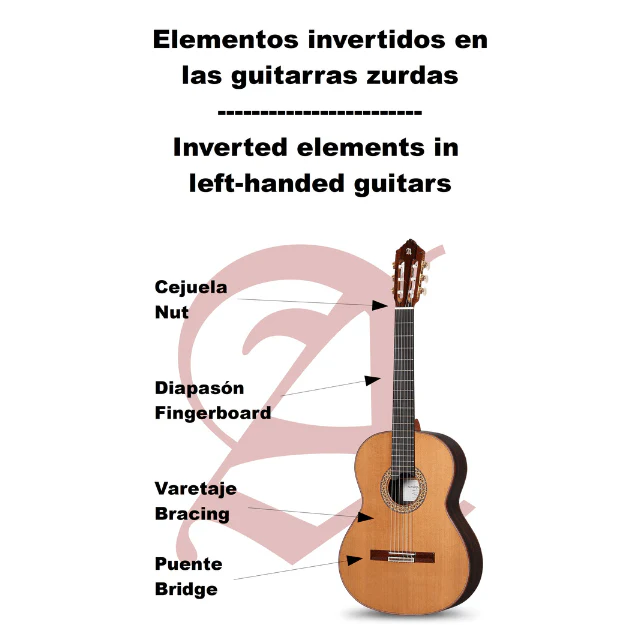 Imagen del producto 7